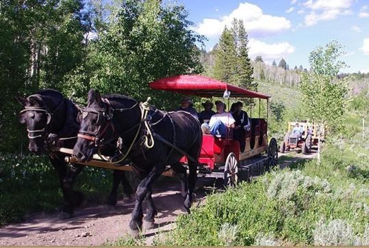 Parade Rest Ranch West Yellowstone Zewnętrze zdjęcie