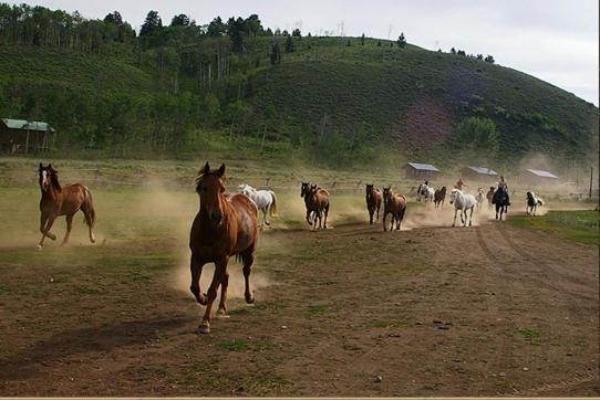 Parade Rest Ranch West Yellowstone Zewnętrze zdjęcie